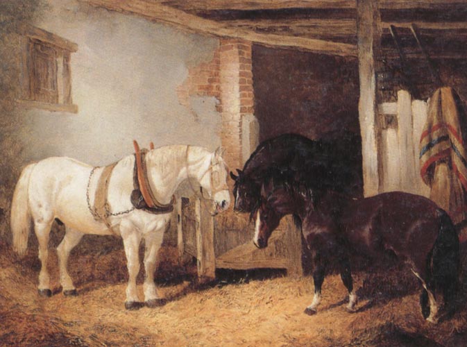 Three Horses in A stable,Feeding From a Manger